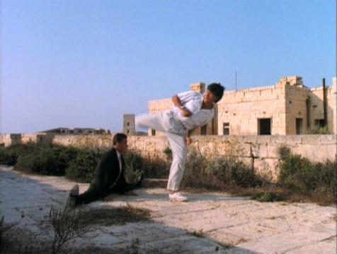 Unfortunately for Van Damme, Sho Was Too Short To Kick High